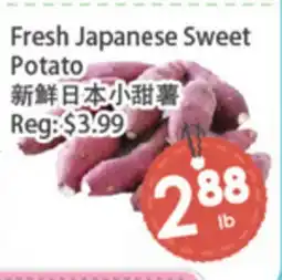 Fresh Palace Supermarket Fresh Japanese Sweet Potato offer