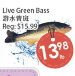 Fresh Palace Supermarket Live Green Bass offer