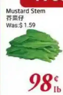 Tone Tai Supermarket Mustard Stem offer