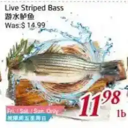 Tone Tai Supermarket Live Striped Bass offer