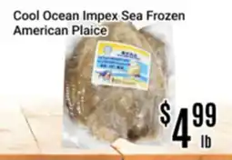 Nations Fresh Foods Cool Ocean Impex Sea Frozen American Plaice offer