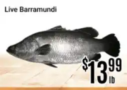 Nations Fresh Foods Live Barramundi offer