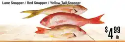 Nations Fresh Foods Lane Snapper / Red Snapper / Yellow Tail Snapper offer