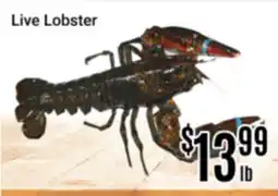 Nations Fresh Foods Live Lobster offer