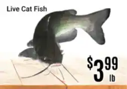 Nations Fresh Foods Live Cat Fish offer