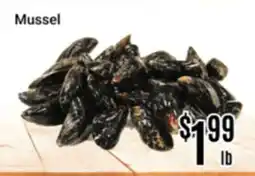 Nations Fresh Foods Mussel offer
