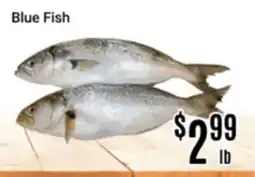 Nations Fresh Foods Blue Fish offer
