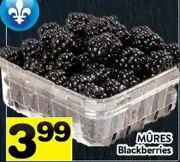 Supermarché PA Blackberries offer