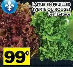 Supermarché PA Leaf Lettuce offer