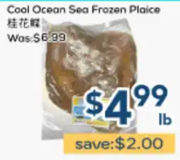 Oceans Fresh Food Market Cool Ocean Sea Frozen Plaice offer