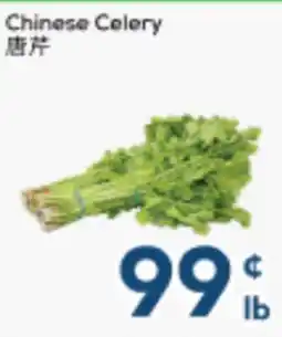 Oceans Fresh Food Market Chinese Celery offer
