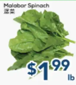 Oceans Fresh Food Market Malabar Spinach offer
