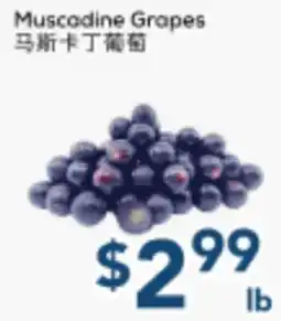 Oceans Fresh Food Market Muscadine Grapes offer