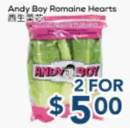 Oceans Fresh Food Market Andy Boy Romaine Hearts offer