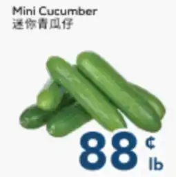 Oceans Fresh Food Market Mini Cucumber offer