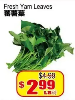 Yuan Ming Supermarket Fresh Yam Leaves offer