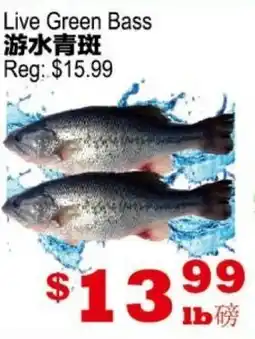 Yuan Ming Supermarket Live Green Bass offer