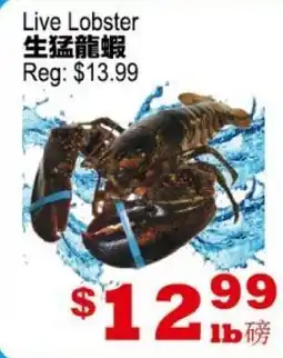 Yuan Ming Supermarket Live Lobster offer