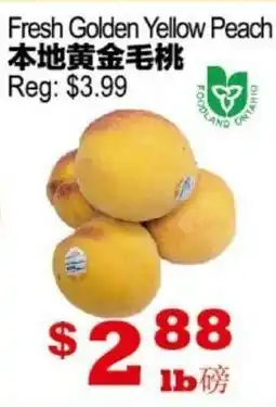 Yuan Ming Supermarket Fresh Golden Yellow Peach offer
