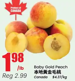 Terra Foodmart Baby Gold Peach offer