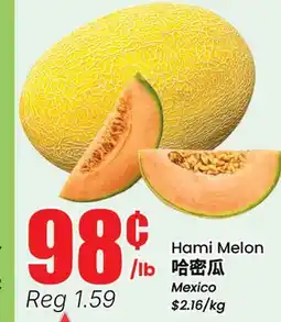 Terra Foodmart Hami Melon offer
