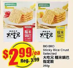 Terra Foodmart BIG BRO Sticky Rice Crust offer