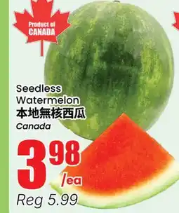 Terra Foodmart Seedless Watermelon offer