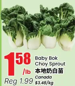 Terra Foodmart Baby Bok Choy Sprout offer