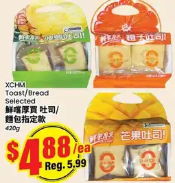 Terra Foodmart XCHM Toast/Bread offer