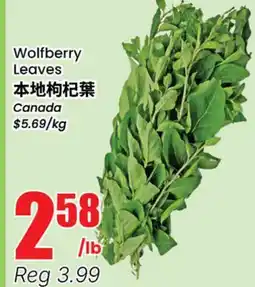Terra Foodmart Wolfberry Leaves offer