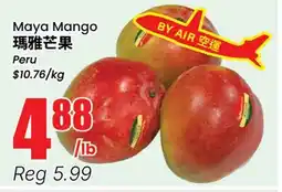 Terra Foodmart Maya Mango offer