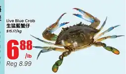 Terra Foodmart Live Blue Crab offer
