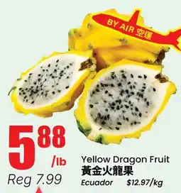 Terra Foodmart Yellow Dragon Fruit offer
