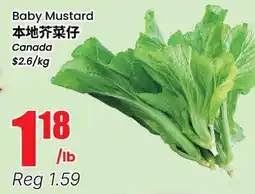 Terra Foodmart Baby Mustard offer