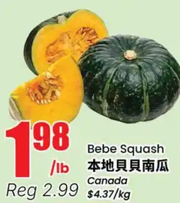 Terra Foodmart Bebe Squash offer