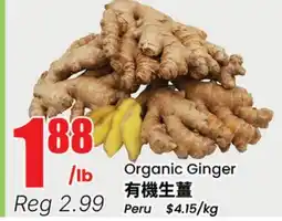 Terra Foodmart Organic Ginger offer