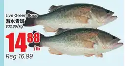 Terra Foodmart Live Green Bass offer