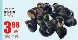 Terra Foodmart Live Snail offer