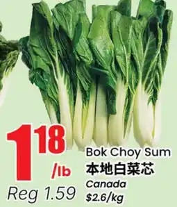 Terra Foodmart Bok Choy Sum offer