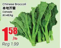 Terra Foodmart Chinese Broccoli offer