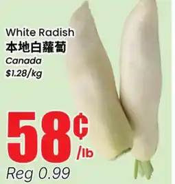 Terra Foodmart White Radish offer