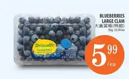 Al Premium Food Mart BLUEBERRIES LARGE CLAM offer