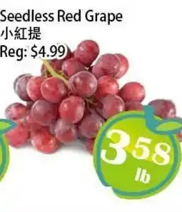 Food Depot Supermarket Seedless Red Grape offer