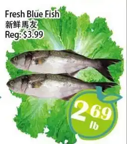 Food Depot Supermarket Fresh Blue Fish offer