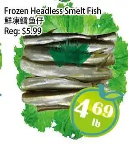 Food Depot Supermarket Frozen Headless Smelt Fish offer