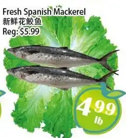 Food Depot Supermarket Fresh Spanish Mackerel offer