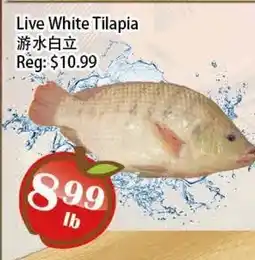 Food Depot Supermarket Live White Tilapia offer