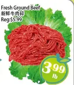 Food Depot Supermarket Fresh Ground Beef offer