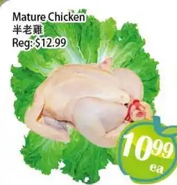 Food Depot Supermarket Mature Chicken offer
