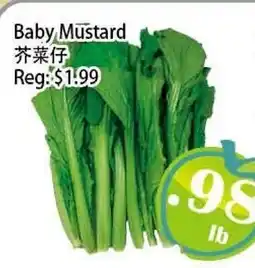 Food Depot Supermarket Baby Mustard offer